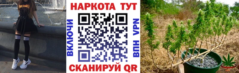 Купить АМФЕТАМИН Меф ГАШИШ APVP Канабис COCAIN Гвардейск