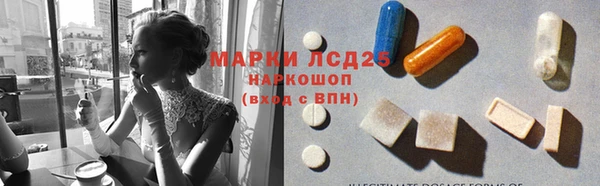 стаф Верея