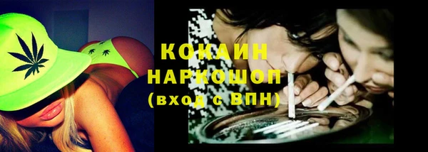 стаф Верея
