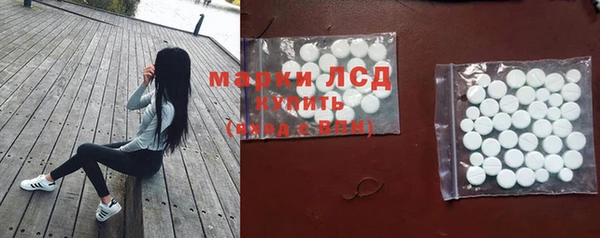 стаф Верея