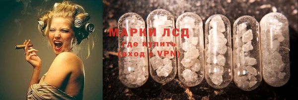 стаф Верея
