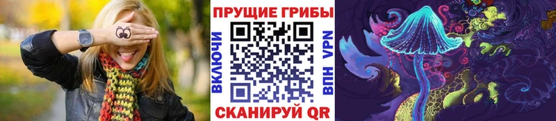 Галлюциногенные грибы Psilocybine cubensis  Купить где  Гвардейск 